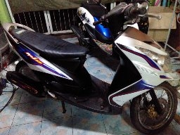 ขาย มีโอ ตาโต สีขาว