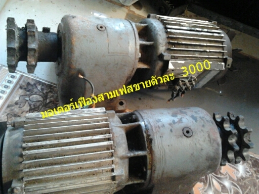 ขายมอเตอร์เฟือง สามเฟส ขายอันละ 3000 (089-3530206
