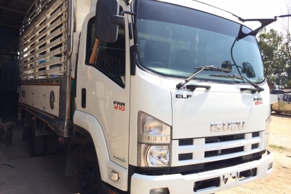 ขายISUZU FRR 210แรง รถ2ปีสวยกริป พร้อมโอน สวยๆตามรูปราคาไม่แพง
