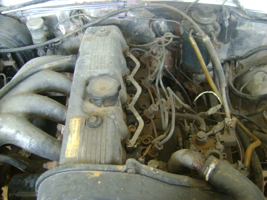 กระบะดั้มได้