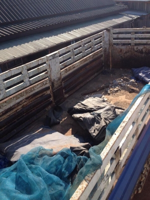 ขายเหมาหางพ่วง RCK 1พ่วง smm สามมิตร 1พ่วง สภาพพร้อมใช้งาน ขายเหมาหางพ่วง RCK 1พ่วง smm สามมิตร 1พ่วง สภาพพร้อมใช้งาน