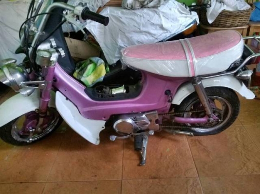 ขายชาลีชมพูบานฉ่ำ ส้กคันลดราคาด่วนๆๆๆๆๆๆๆๆ