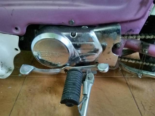 ขายชาลีชมพูบานฉ่ำ ส้กคันลดราคาด่วนๆๆๆๆๆๆๆๆ