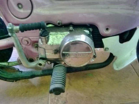 ขายชาลีชมพูบานฉ่ำ ส้กคันลดราคาด่วนๆๆๆๆๆๆๆๆ