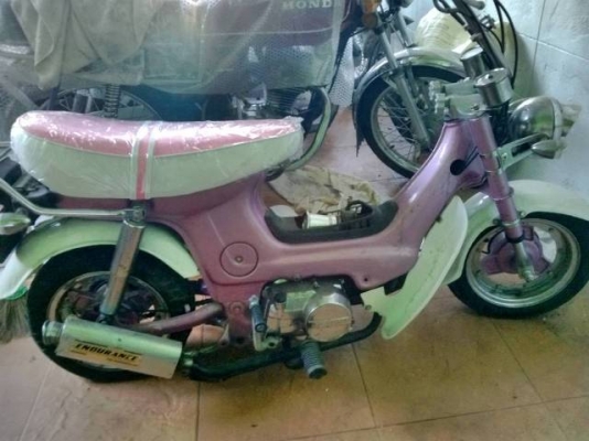 ขายชาลีชมพูบานฉ่ำ ส้กคันลดราคาด่วนๆๆๆๆๆๆๆๆ