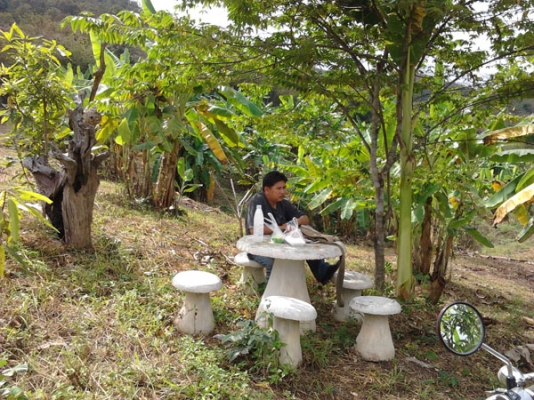 ขายที่ดินบนภูเขามีลำใยให้ผลแล้วมะม่วงกล้วยทำเลสวย 2.7แสน7ไร่