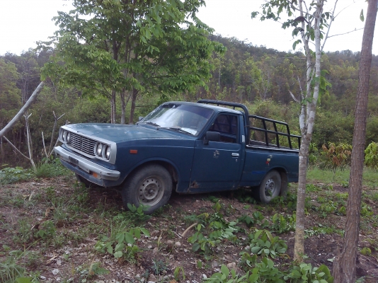 ขายที่ดินบนภูเขามีลำใยให้ผลแล้วมะม่วงกล้วยทำเลสวย 2.7แสน7ไร่