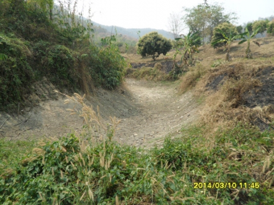 ขายที่ดินบนภูเขามีลำใยให้ผลแล้วมะม่วงกล้วยทำเลสวย 2.7แสน7ไร่