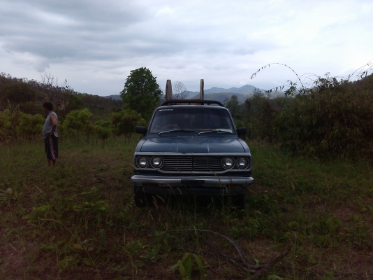 ขายที่ดินบนภูเขามีลำใยให้ผลแล้วมะม่วงกล้วยทำเลสวย 2.7แสน7ไร่