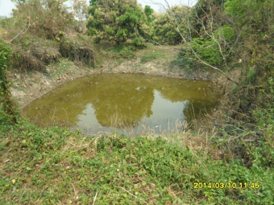 ขายที่ดินบนภูเขามีลำใยให้ผลแล้วมะม่วงกล้วยทำเลสวย 2.7แสน7ไร่