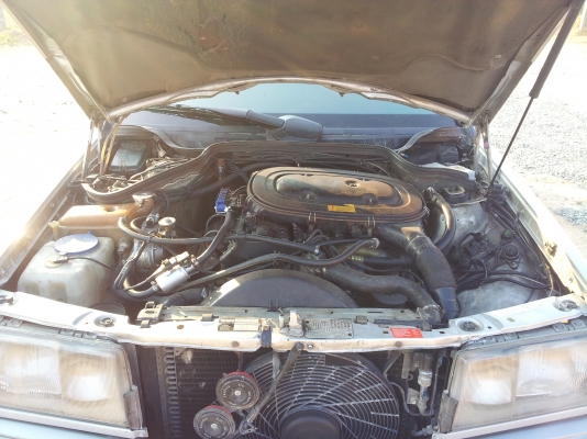 ขาย เบ็นส์ สวยๆๆๆ ถูกๆๆๆ ขาย เบ็นส์ สวยๆๆๆ ถูกๆๆๆ