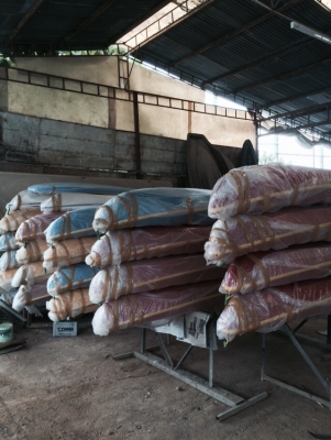 เรือคายัค ส่งสินค้าฟรีทั่วไทย www.wirotfiberboats.com