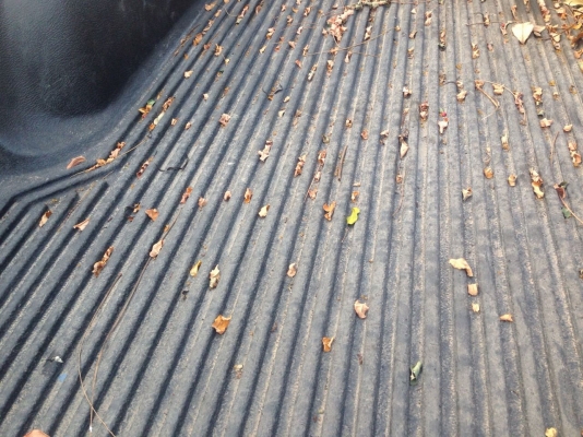 **139,000 บ.ต่อรอง**ขายกระบะแค็ปสวยๆ NISSAN BIG-M KINGCAB BD25 ฝาแดง จอโค้ง ปี39/96 เครื่องแน่นแรงไม่เยิ้ม เกียร์ดี ช่วงล่างแน่นคัสซีเดิมไม่ปะไม่ดาม พื้นปูกระบะ ล้อแม็ก ยางดี4เส้น หัวเก๋งสวย ภายในสวยคอนโซลครบ พ.ธรรมดา แอร์เย็น สีสันดีมีรอยนิดหน่อย พร้อมใช **139,000 บ.ต่อรอง**ขายกระบะแค็ปสวยๆ NISSAN BIG-M KINGCAB BD25 ฝาแดง จอโค้ง ปี39/96 เครื่องแน่นแรงไม่เยิ้ม เกียร์ดี ช่วงล่างแน่นคัสซีเดิมไม่ปะไม่ดาม พื้นปูกระบะ ล้อแม็ก ยางดี4เส้น หัวเก๋งสวย ภายในสวยคอนโซลครบ พ.ธรรมดา แอร์เย็น สีสันดีมีรอยนิดหน่อย พร้อมใช