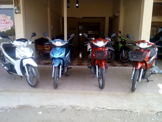 ขายเหมา Honda Wave สภาพดีพร้อมใช้งานราคาเป็นกันเอง ขายเหมาทั้ง 4 คัน เลยคะ