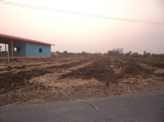 มาก่อนได้ก่อน ขายที่ดิน สวยๆ ถูกๆ   ติดถนนดำขาย 6 ไร่กว่า ซื้อไว้มีกำไรแน่นอน 089-5624785  Kสมศักดิ์