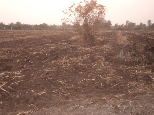 มาก่อนได้ก่อน ขายที่ดิน สวยๆ ถูกๆ   ติดถนนดำขาย 6 ไร่กว่า ซื้อไว้มีกำไรแน่นอน 089-5624785  Kสมศักดิ์