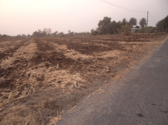 มาก่อนได้ก่อน ขายที่ดิน สวยๆ ถูกๆ   ติดถนนดำขาย 6 ไร่กว่า ซื้อไว้มีกำไรแน่นอน 089-5624785  Kสมศักดิ์