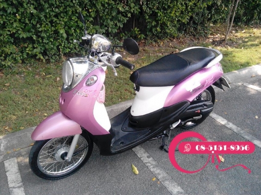 ขายรถสวย FINO ปี 51 รถขับดีมาก พุ่งดี เฟืองไม่หอนกวนใจ ขายถูกคุ้มเกินราคา โทร 085-1518956