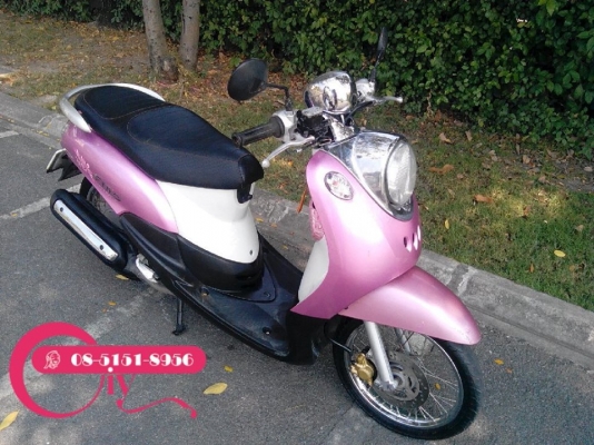 ขายรถสวย FINO ปี 51 รถขับดีมาก พุ่งดี เฟืองไม่หอนกวนใจ ขายถูกคุ้มเกินราคา โทร 085-1518956