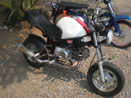 ขาย STALLION  SOLO เครื่อง 125 ทะเบียนเต็ม พร้อมโอน รถออกศูนย์ ปี 2011