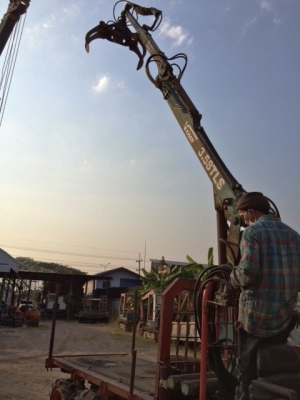 ขาย-เช่า /  For Sale - For Rent