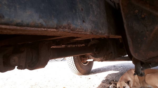 **250,000 บ.ต่อรอง**ขาย 6ล้อช่วงล่างใหญ่ ISUZU KS110 4BE1 เครื่องแน่นดี แห้งแรง ช่วงล่างFหน้า-หลัง คัสซีดีเดิมมีตำหนิตามรูป (ต้องเก็บ) กระบะคอกไม้4.30ม.สภาพดีพื้นดีข้างดี หัวเก๋งเดิมๆ พอใช้ ภายในโอเค ยาง8.25ดี4เส้นพอใช้2เส้น ทะเบียนขาด3ปี ขายตามสภาพเก็บนิ **250,000 บ.ต่อรอง**ขาย 6ล้อช่วงล่างใหญ่ ISUZU KS110 4BE1 เครื่องแน่นดี แห้งแรง ช่วงล่างFหน้า-หลัง คัสซีดีเดิมมีตำหนิตามรูป (ต้องเก็บ) กระบะคอกไม้4.30ม.สภาพดีพื้นดีข้างดี หัวเก๋งเดิมๆ พอใช้ ภายในโอเค ยาง8.25ดี4เส้นพอใช้2เส้น ทะเบียนขาด3ปี ขายตามสภาพเก็บนิ