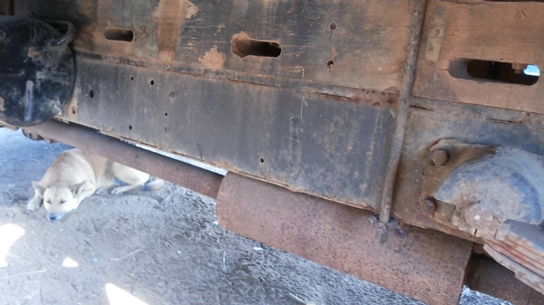 **250,000 บ.ต่อรอง**ขาย 6ล้อช่วงล่างใหญ่ ISUZU KS110 4BE1 เครื่องแน่นดี แห้งแรง ช่วงล่างFหน้า-หลัง คัสซีดีเดิมมีตำหนิตามรูป (ต้องเก็บ) กระบะคอกไม้4.30ม.สภาพดีพื้นดีข้างดี หัวเก๋งเดิมๆ พอใช้ ภายในโอเค ยาง8.25ดี4เส้นพอใช้2เส้น ทะเบียนขาด3ปี ขายตามสภาพเก็บนิ **250,000 บ.ต่อรอง**ขาย 6ล้อช่วงล่างใหญ่ ISUZU KS110 4BE1 เครื่องแน่นดี แห้งแรง ช่วงล่างFหน้า-หลัง คัสซีดีเดิมมีตำหนิตามรูป (ต้องเก็บ) กระบะคอกไม้4.30ม.สภาพดีพื้นดีข้างดี หัวเก๋งเดิมๆ พอใช้ ภายในโอเค ยาง8.25ดี4เส้นพอใช้2เส้น ทะเบียนขาด3ปี ขายตามสภาพเก็บนิ