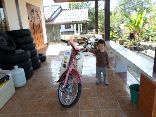 ขายชีร้อย..เครื่องเวฟ110 สตาร์ทมือ เครื่องแน่นๆพึ่งทำมาใหม่วิ่ง120+ได้สบายครับสภาพแต่งจบไฟหน้าหลังไฟเลี้ยวออกทุกดวงล็อกคอได้ซื้อไปไม่ต้องทำไรขี่ได้เลยครับno-bookออกใบซื้อขายให้ครับ ขาย 20000บาทถ้วน ราคายังไม่รวมค่าส่งครับรถอยู่อำนาจเจริญ...ส่งได้ทั่วไทย08