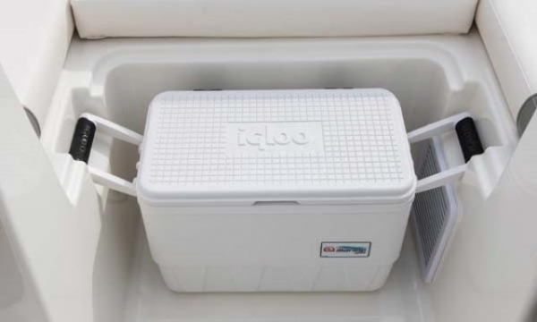 @@!! เปิดจองแล้ว 2014 Bayliner Element 160 ใหม่เครื่อง 60 แรง 4 จังหวะ Mercury เรือ16ฟุต@@!!