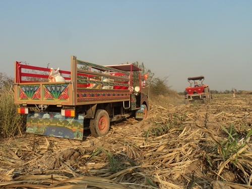 ขาย รถอีแต๋นดั้มต่อใหม่ เปลียนถ่ายน้ำมันเครื่อง เกียร์เฟืองท้ายแล้ว ส่งได้ครับ
