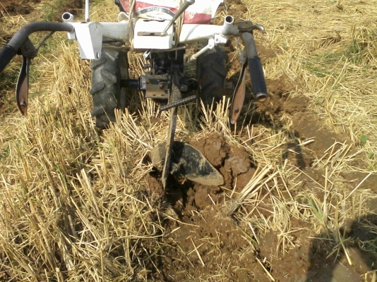 ขายโคลงรถพรวนดิน Kubota พร้อมโรตารี่ หรือจะเอาเครื่องด้วย +5000ครับ ขายโคลงรถพรวนดิน Kubota พร้อมโรตารี่ หรือจะเอาเครื่องด้วย +5000ครับ