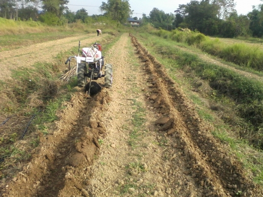 ขายโคลงรถพรวนดิน Kubota พร้อมโรตารี่ หรือจะเอาเครื่องด้วย +5000ครับ ขายโคลงรถพรวนดิน Kubota พร้อมโรตารี่ หรือจะเอาเครื่องด้วย +5000ครับ