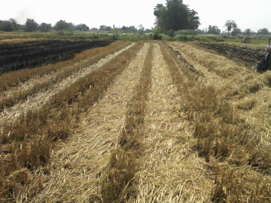 ขายโคลงรถพรวนดิน Kubota พร้อมโรตารี่ หรือจะเอาเครื่องด้วย +5000ครับ ขายโคลงรถพรวนดิน Kubota พร้อมโรตารี่ หรือจะเอาเครื่องด้วย +5000ครับ