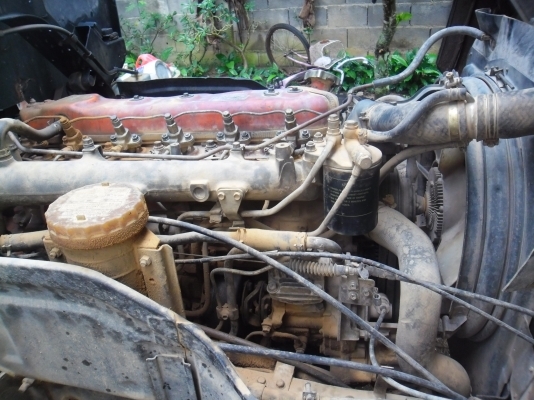 ขาย หกล้อดั้ม FRR 175 แรงม้า ด่วนมาก ต้องการใช้เงิน