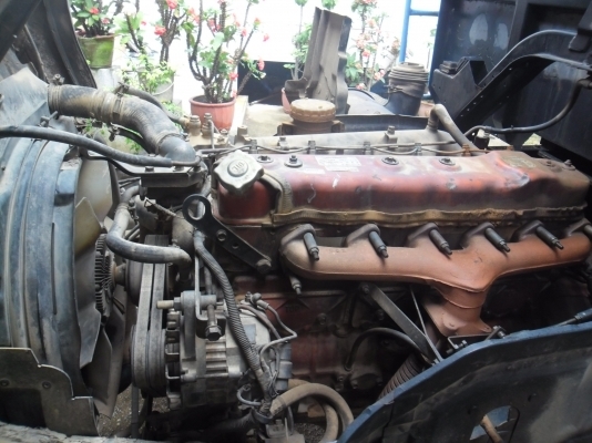 ขาย หกล้อดั้ม FRR 175 แรงม้า ด่วนมาก ต้องการใช้เงิน