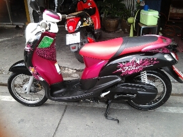 ฟีโน่ปี2554