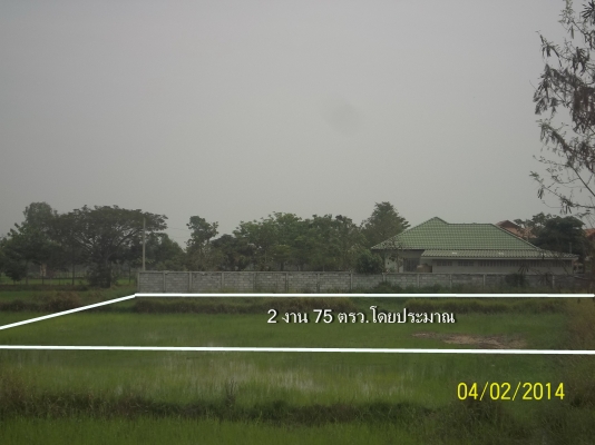 ขายที่ดิน 2 งาน 75 8/10 ตารางวา ก่อนถึงห้วยสีทน ก่อนเข้าเมือง 3 กม.