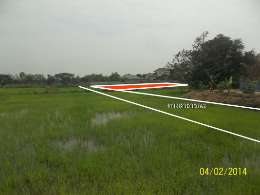 ขายที่ดิน 2 งาน 75 8/10 ตารางวา ก่อนถึงห้วยสีทน ก่อนเข้าเมือง 3 กม.