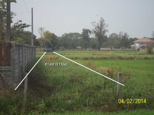 ขายที่ดิน 2 งาน 75 8/10 ตารางวา ก่อนถึงห้วยสีทน ก่อนเข้าเมือง 3 กม.