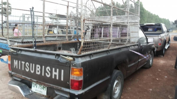 ***ขายแล้วครับขอบคุณ Truck2hand ขายตอนเดียว MITSU L200 CYCLONE 2.5 ปี33/90 เครื่องเดิมเกียร์เดิม แรงดี เกียร์ไม่หลุด ช่วงล่างเดิมๆคัสซีดีเดิม มีสนิม ไม่สาดสี กระบะดีพื้นมีผุนิดๆ หัวเก๋งดี ภายในสวยคอนโซลครบ พ.ธรรมดา มีคอกเหล็ก ยางดี4เส้น สีสันดี มีพองนิดๆต ***ขายแล้วครับขอบคุณ Truck2hand ขายตอนเดียว MITSU L200 CYCLONE 2.5 ปี33/90 เครื่องเดิมเกียร์เดิม แรงดี เกียร์ไม่หลุด ช่วงล่างเดิมๆคัสซีดีเดิม มีสนิม ไม่สาดสี กระบะดีพื้นมีผุนิดๆ หัวเก๋งดี ภายในสวยคอนโซลครบ พ.ธรรมดา มีคอกเหล็ก ยางดี4เส้น สีสันดี มีพองนิดๆต