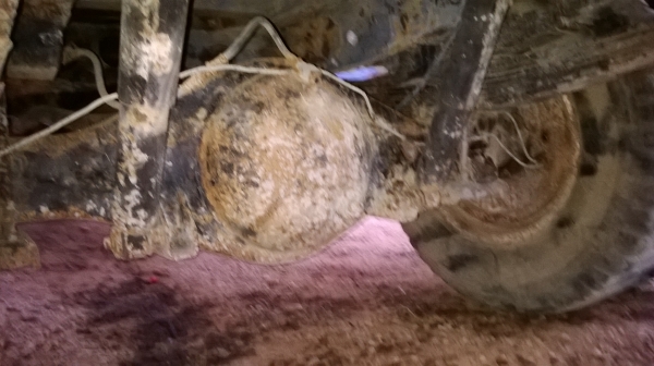 ขายด่วน ไม่มีเล่ม ขายด่วน ไม่มีเล่ม