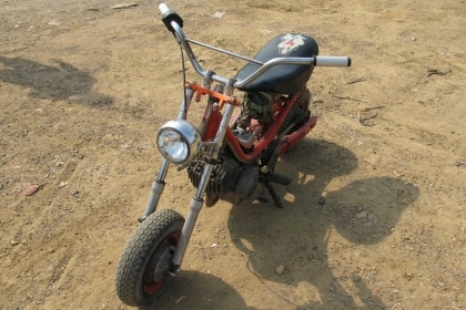 chippy ต้อนรับปีใหม่