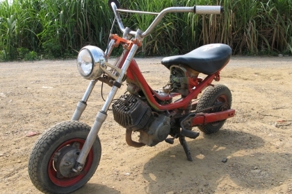 chippy ต้อนรับปีใหม่