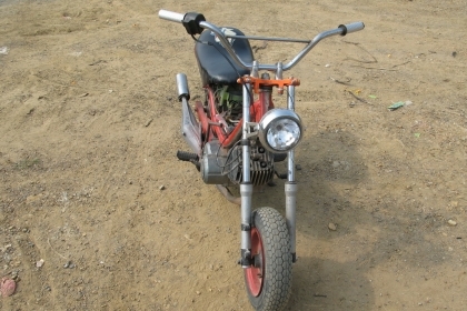 chippy ต้อนรับปีใหม่