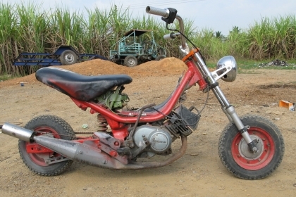 chippy ต้อนรับปีใหม่