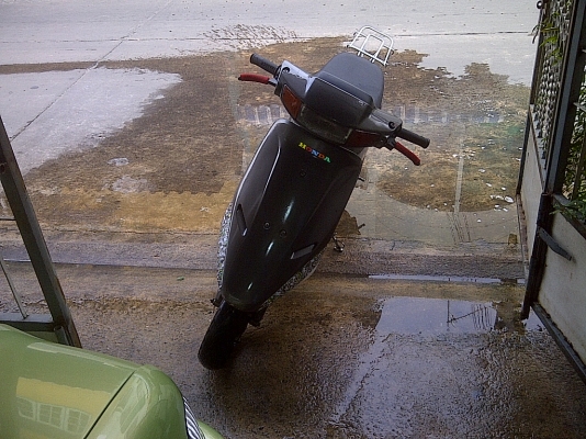 ขาย DIO 8000 ขาย DIO 8000