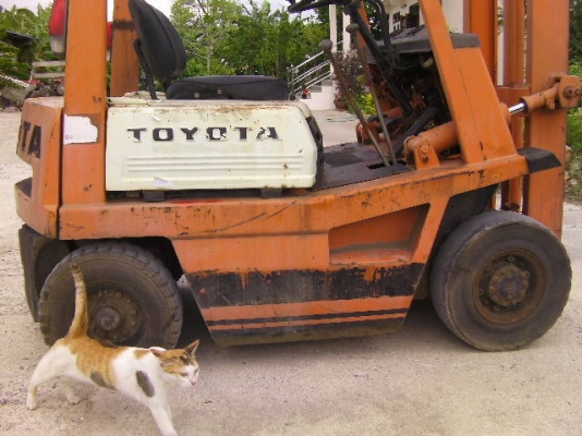 โฟกค์ลิฟต์เสาสูง3เมตรเบนซิน4สูบยางตันหน้าหลังยกได้1ตันยี่ห้อtoyotaนำเข้าจากญี่ปุ่นราคา115,000บาท โฟกค์ลิฟต์เสาสูง3เมตรเบนซิน4สูบยางตันหน้าหลังยกได้1ตันยี่ห้อtoyotaนำเข้าจากญี่ปุ่นราคา115,000บาท