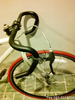 เสือหมอบวินเทจ ถูกๆ