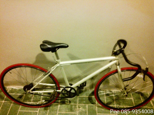 เสือหมอบวินเทจ ถูกๆ