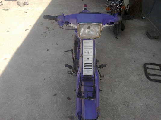 อร่อยหัวเขา  ติดต่อ 081-931-5032